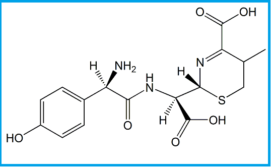 CEFADROXIL EP IMPURITY C  
